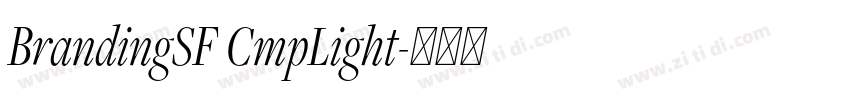BrandingSF CmpLight字体转换